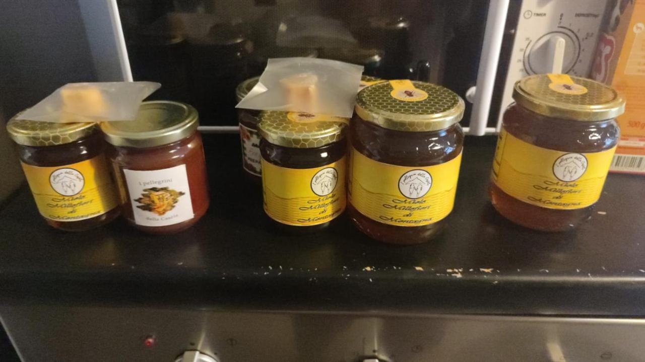 B&B I Pellegrini Della Casela Bordogna エクステリア 写真